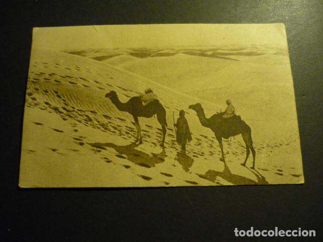 Postales: CARAVANA DE CAMELLOS POSTAL - Foto 1