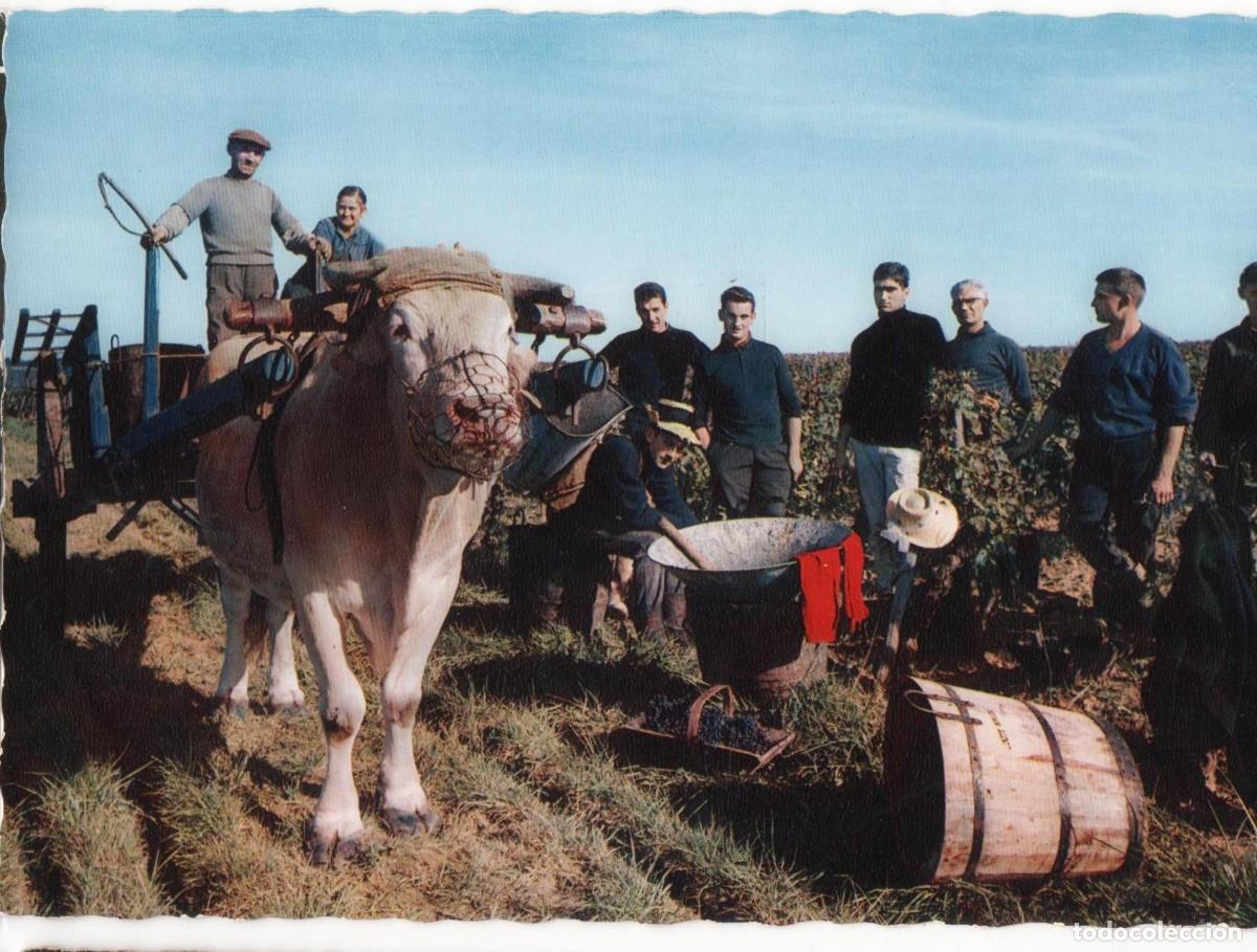 Postales: Vendimiadores en Burdeos-escrita- - Foto 1