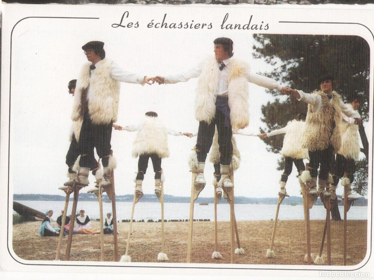Postales: Francia- Las grullas de Landes-circulada - Foto 1