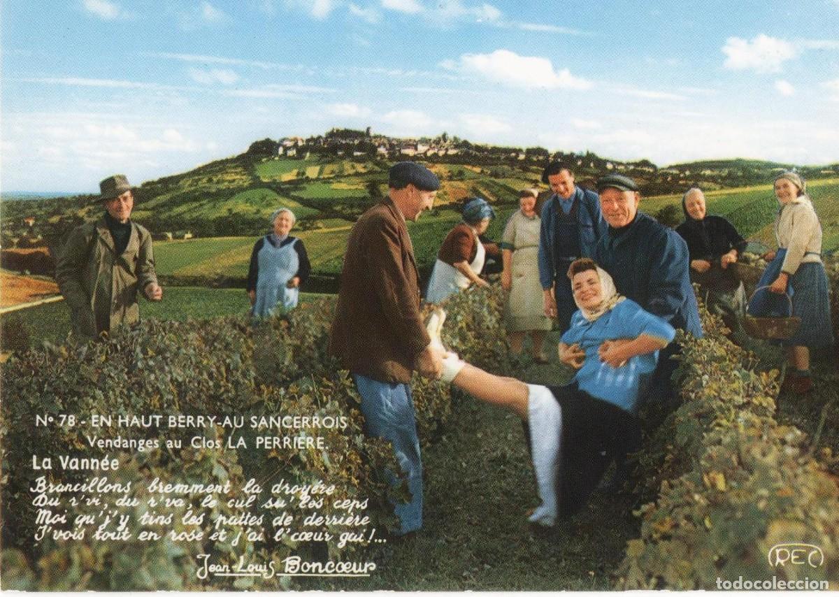 Postales: Francia-Vendimiando en Berry -circulada- - Foto 1