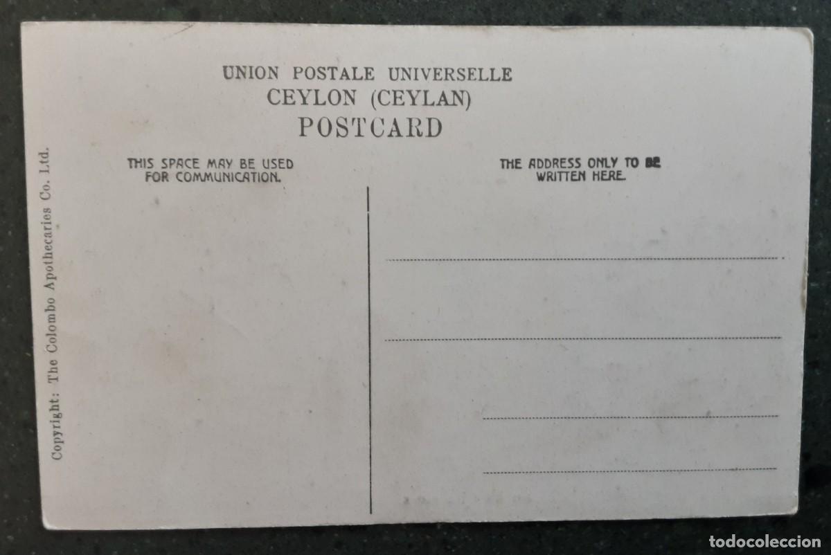 Postales: POSTAL ENCANTADORES DE SERPIENTES, CEYLAN. - Foto 2