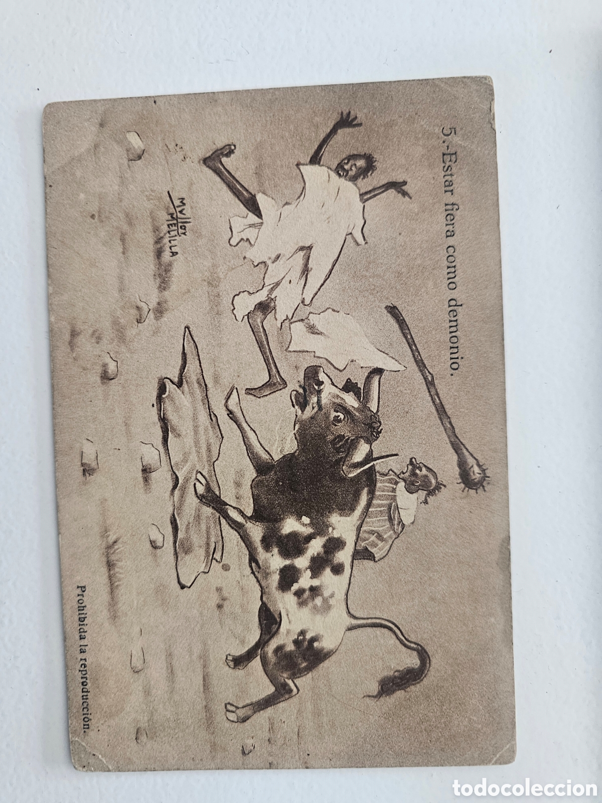 Postales: Postal de N&deg;5 Estar fiera como demonio Mullor Melilla. Miquel Gayol&agrave;