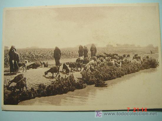 Postales: 7886 EGIPTO EGYPT PASTOR COSTUMBRISTA ETNICA ETHNIC - MAS EN MI TIENDA COSAS&CURIOSAS