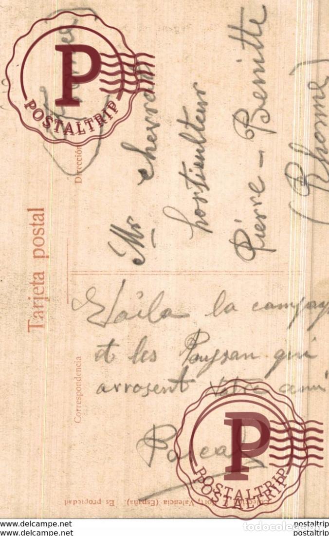Postales: RARE REGANT LES PLANTES - Foto 2