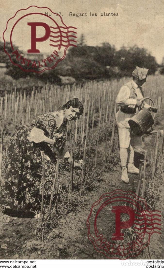 Postales: RARE REGANT LES PLANTES