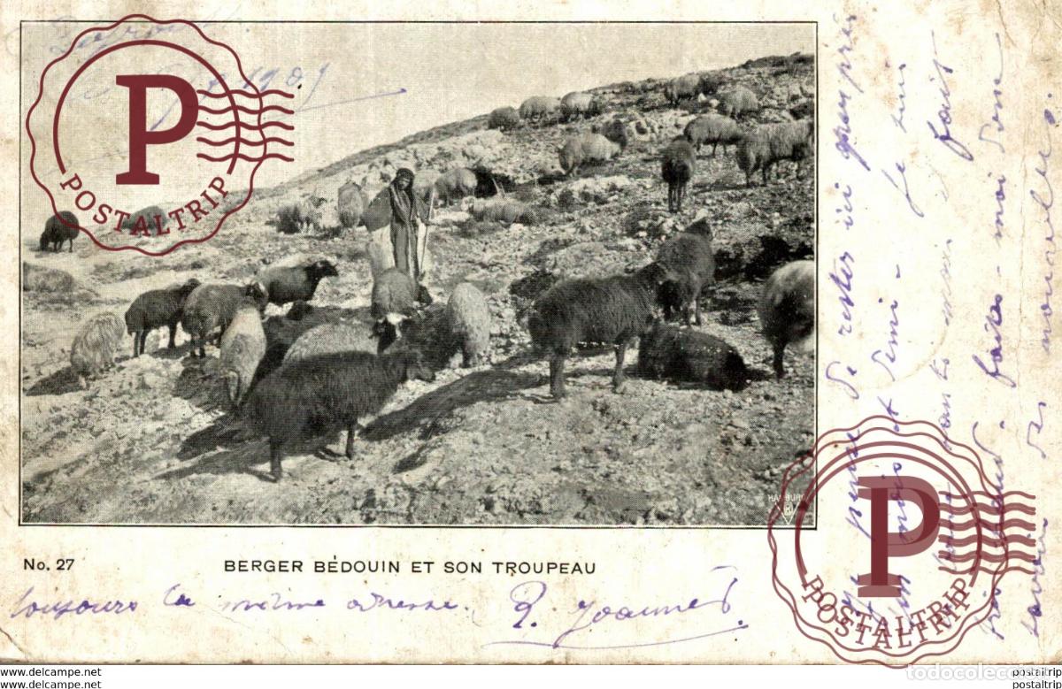 Postales: BERGER BEDOUIN ET SON TROUPEAU