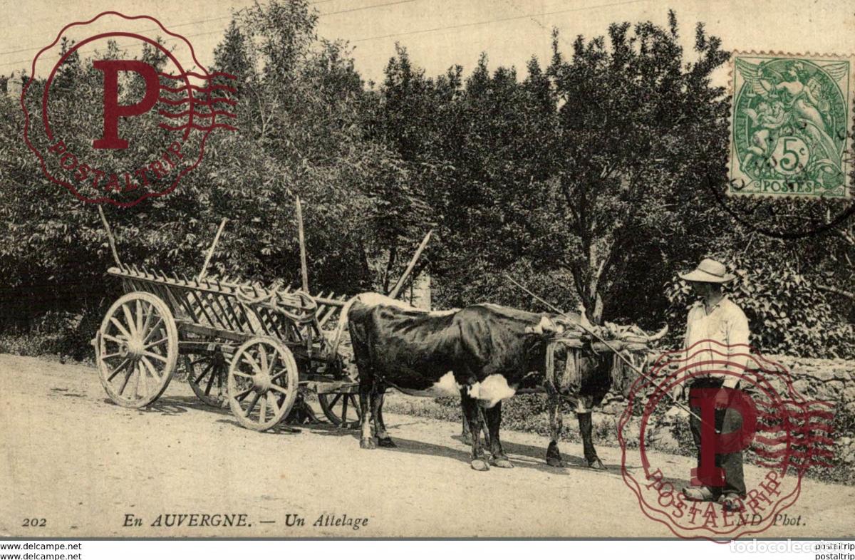 Postales: CLICHE RARE EN AUVERGNE UN ATTELAGE