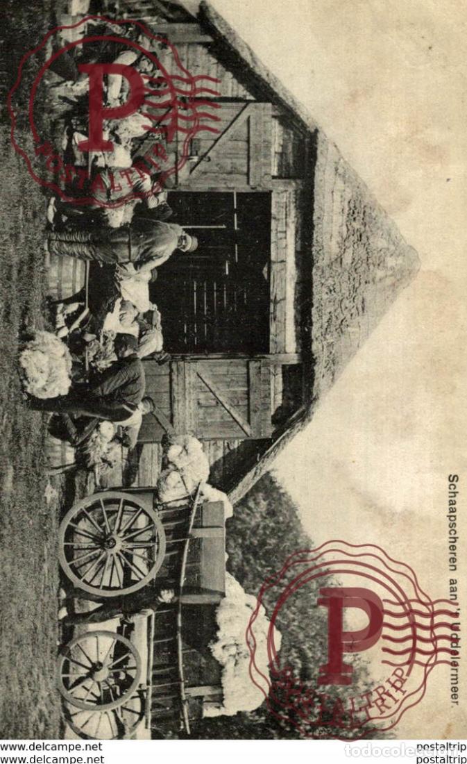 Postales: RARE KAART SCHAAPSCHEREN AAN UDDELERMEER