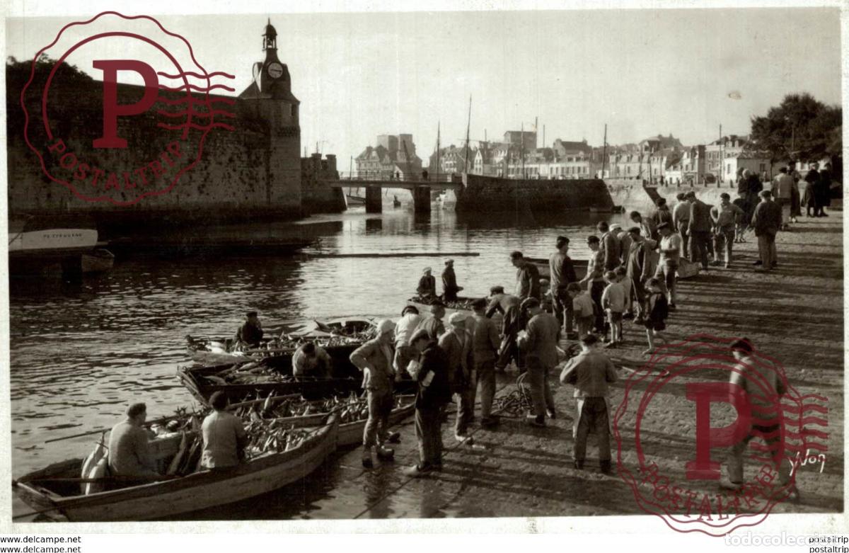 Postales: CONCARNEAU DEBARQUEMENT DES THONS