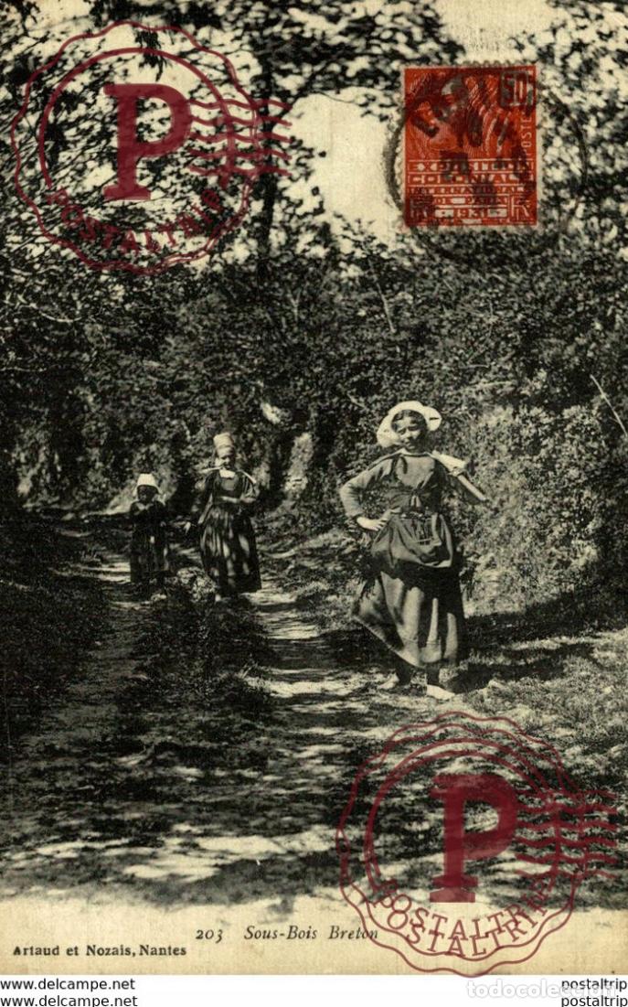Postales: SOUS-BOIS BRETON types Typen Bretagne Gro&szlig;britannien Brittany