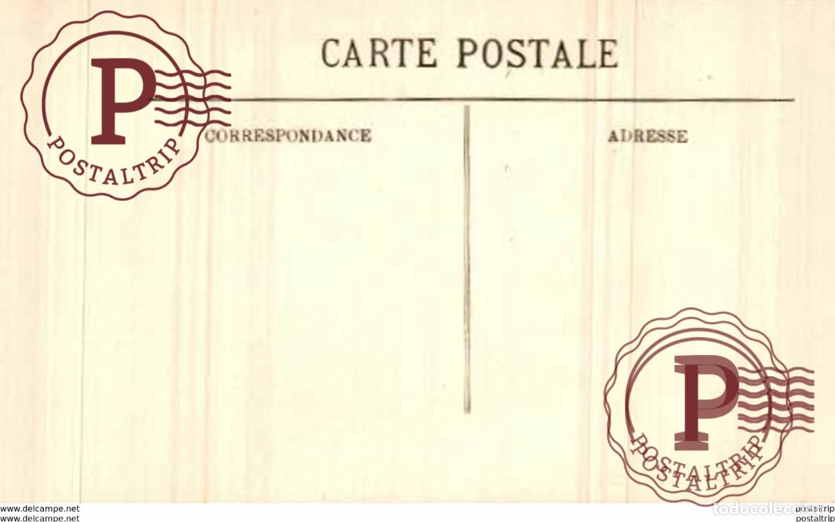 Postales: ESCENAS Y TIPOS. Kamele mit Holz - Foto 2