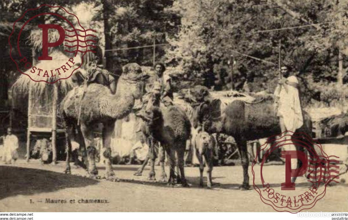 Postales: ESCENAS Y TIPOS. MAURES CHAMEAUX