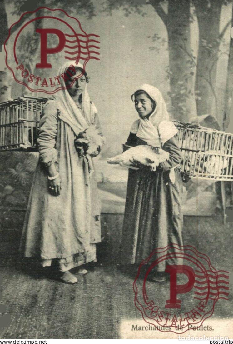 Postales: TURQUIA. MARCHANDES DE POULETS