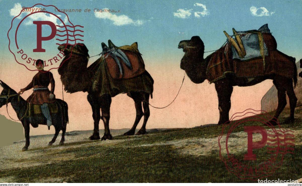 Postales: SMYRNE. CARAVANNE DE CHAMEAUX