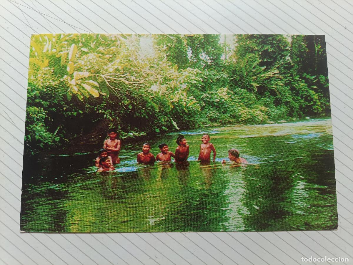 Postales: Indios motilones. Perija, Venezuela