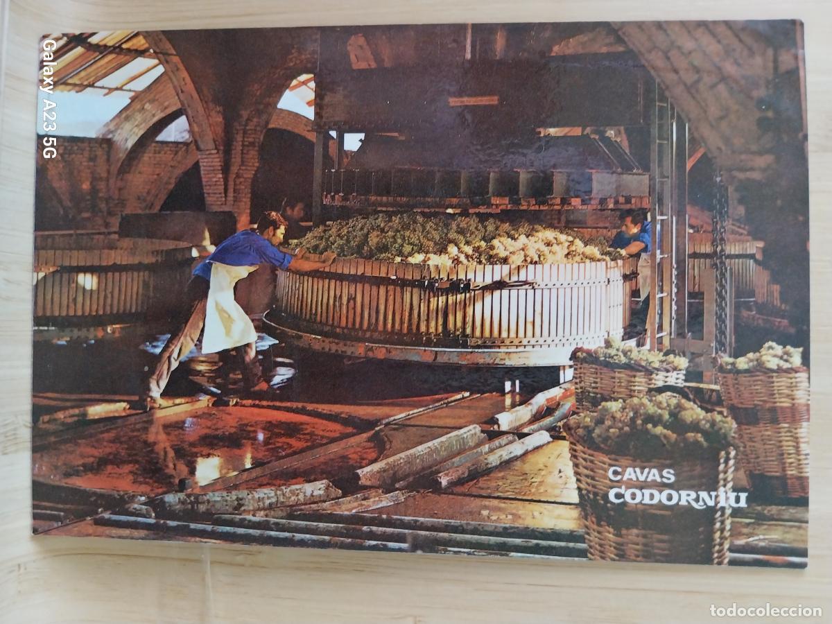 Postales: CODORNIU PRENSADO UVA POSTAL SC ORIGINAL ALGO SOBADA A&Ntilde;O 1976 ANIMADA