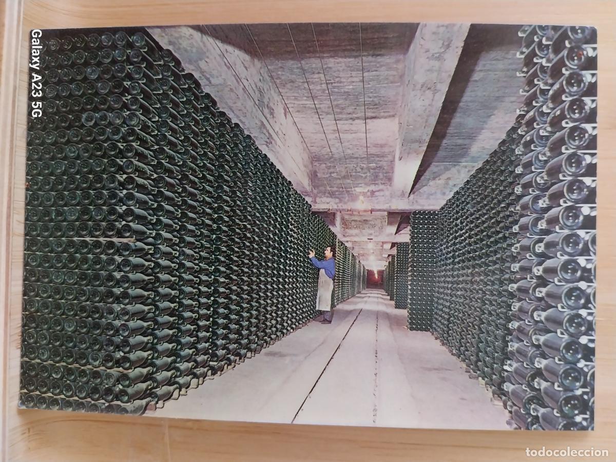 Postales: CODORNIU CAVAS BOTELLAS ENVEJECIENDO POSTAL SC ORIGINAL A&Ntilde;O 1976 **