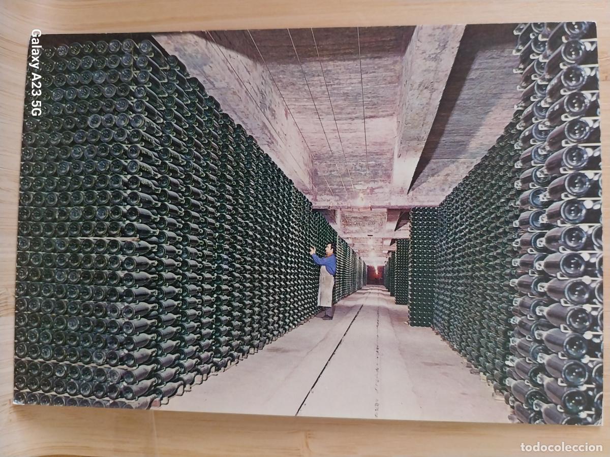Postales: CODORNIU CAVAS BOTELLAS ENVEJECIENDO POSTAL SC ORIGINAL A&Ntilde;O 1976 *