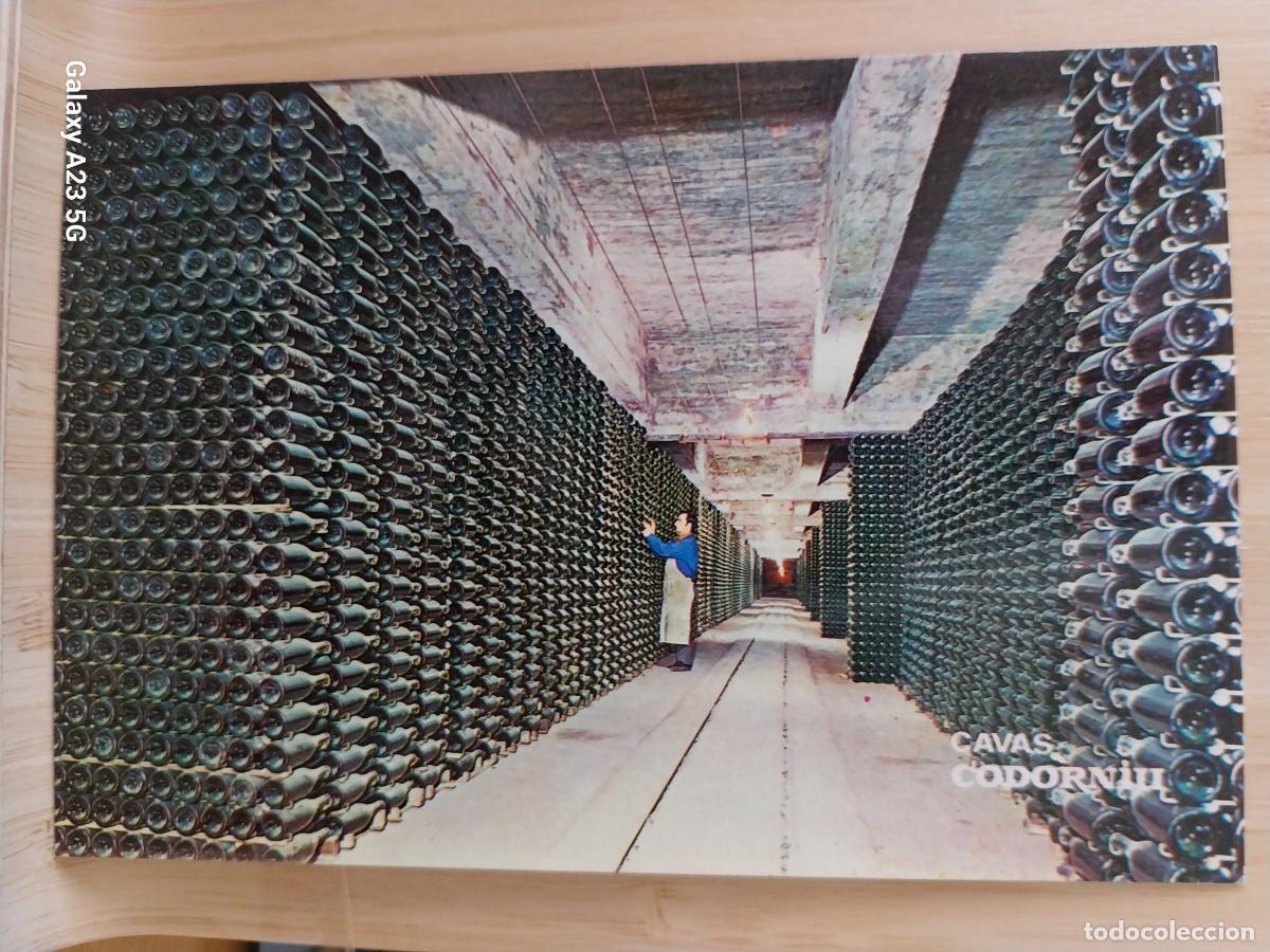 Postales: CODORNIU CAVAS BOTELLAS ENVEJECIENDO POSTAL SC ORIGINAL A&Ntilde;O 1976