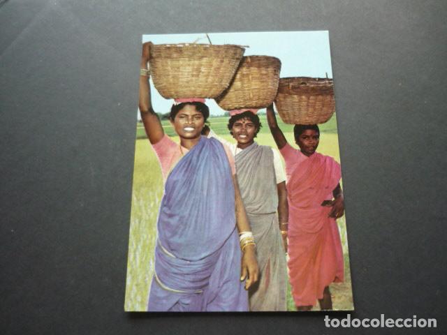 Postales: PALIKONDA INDIA TIPOS POSTAL