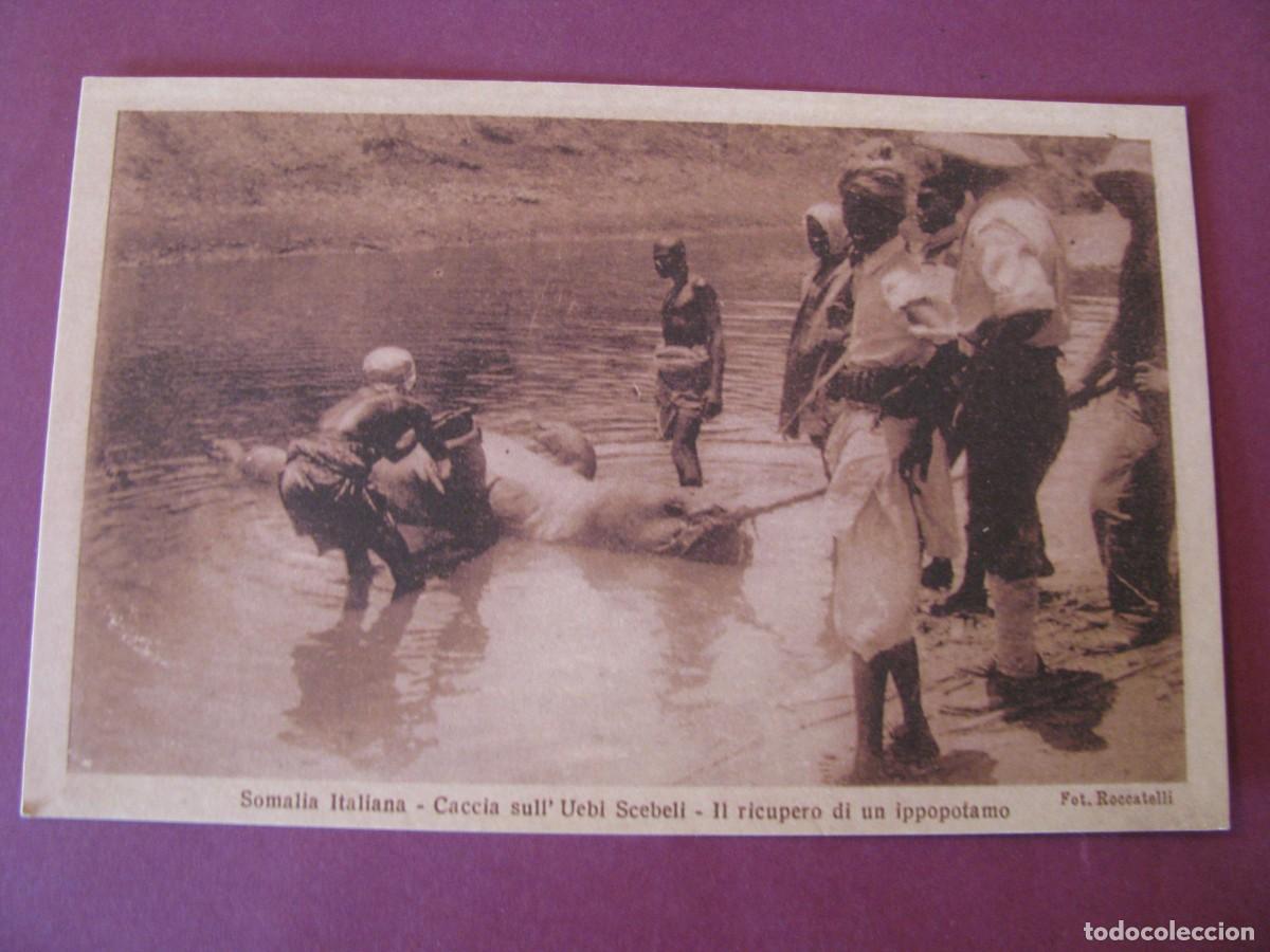 Postales: POSTAL DE SOMALIA ITALIANA. CAZA DE HIPOPOTAMO.