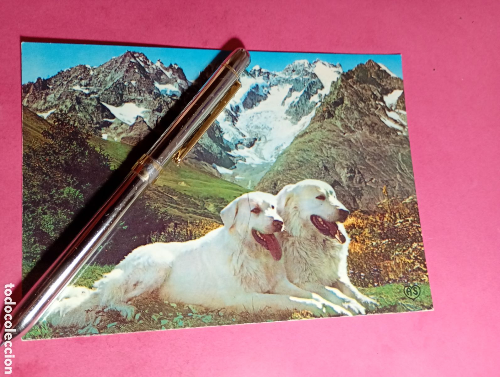 Postales: PARREJA DE PERROS DE LOS PIRINEOS (&iquest;mastin del pirineo?) en frances - detalles en fotos