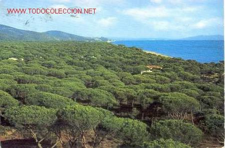 Postales: ITALIA: CASTIGLIONE DELLA PESCAIA
