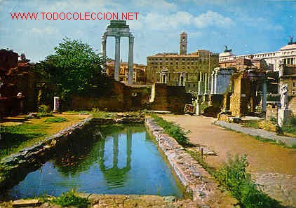Postales: ROMA. Foro Romano .224 - Foto 1