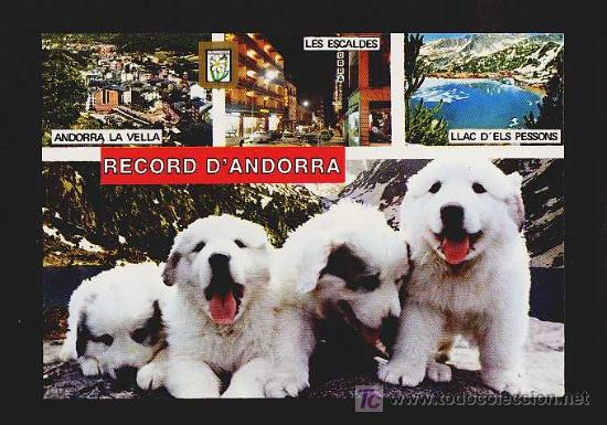 Postales: Postal d' ANDORRA: 4 vistes (Ed.MC Iscla num.510)