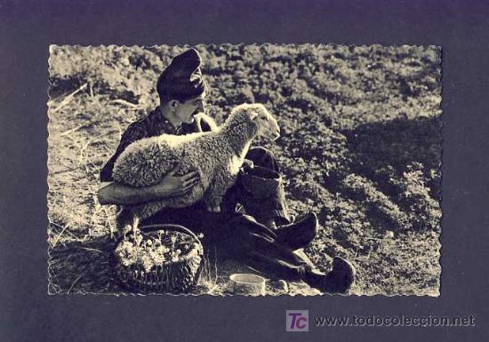 Postales: Postal d' ANDORRA: L' ovelleta mansa (VHT num.13) (animada)