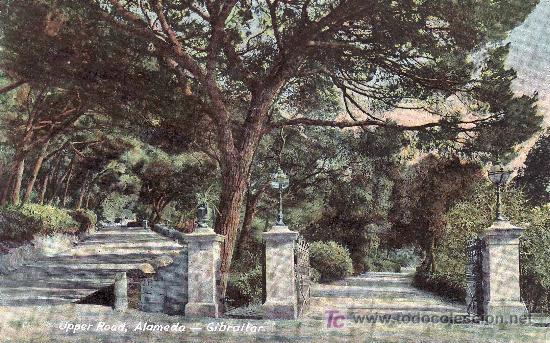 Postales: POSTAL DE GIBRALTAR. UPPER ROAD, ALAMEDA. - Foto 1