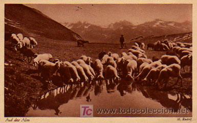 Cartes Postales: HOLANDA. AUF DER ALM. REBA&Ntilde;O.
