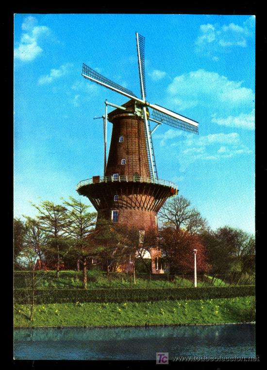 tres molinos de viento de holanda three windmil - Comprar Postales