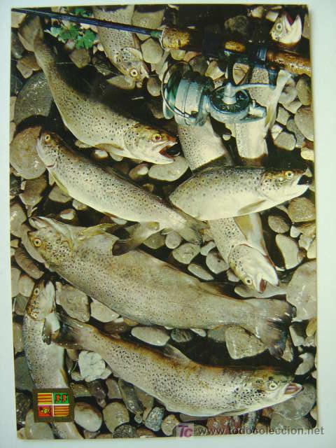 Postales: POSTAL ANDORRA - REF. K-254 - Foto 1