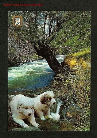 Postales: Postal d' ANDORRA: La Massana, pont rom&agrave;nic de St.Antoni (M.C.Iscla,  num.183/1)