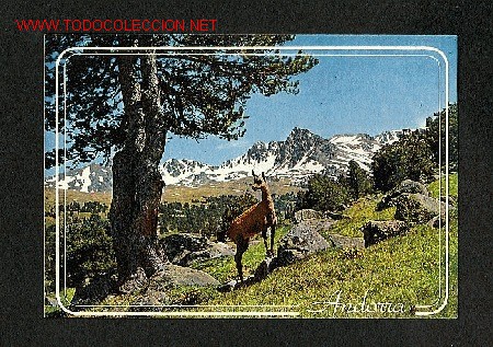 Postales: Postal d' ANDORRA: Vall d'Envalira (M.C.Iscla, num.101)