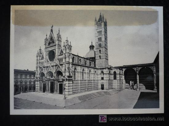 Postales: SIENA. SIN CIRCULAR 8X6 - Foto 1