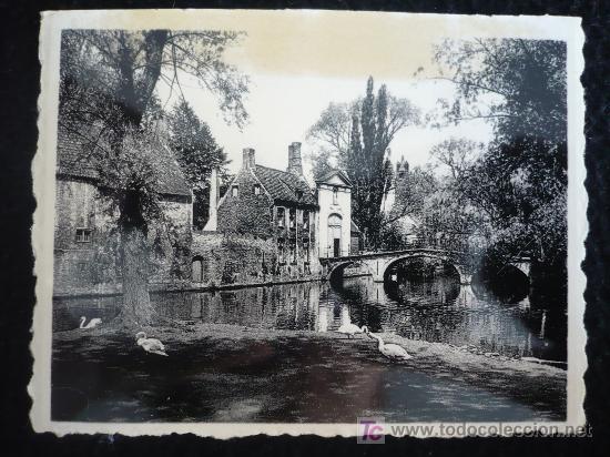 Postales: BRUJAS. SIN CIRCULAR .  6,50X9 - Foto 1