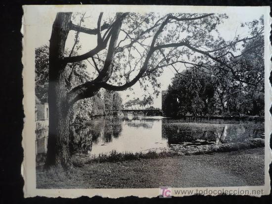 Postales: BRUJAS. SIN CIRCULAR .  6,50X9 - Foto 1