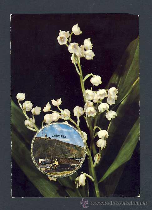 Postales: Postal d' ANDORRA: Postal amb tireta perfumada al dors (Ed.Vallazur)