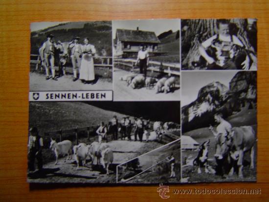 Cartes Postales: POSTAL SENNEN - LEBEN SIN CIRCULAR