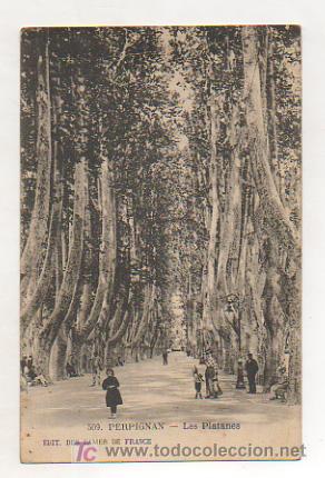 Postales: PERPIGNAN. LES PLATANES. - Foto 1