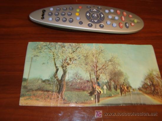 Cartes Postales: POSTAL APAISADA DE PORTUGAL A&Ntilde;O 71, MAS LARGA DE LO NORMAL EN POSTALES