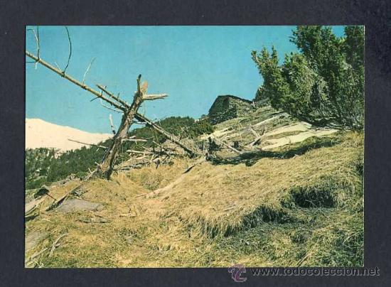 Postales: Postal d' ANDORRA: Arinsal, vista de la Coma per Canela (sense editor)