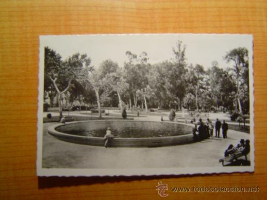 Postcards: POSTAL PERPIGNAN LES NOUVEAUX JARDINS - LES BASSSIN SIN CIRCULAR