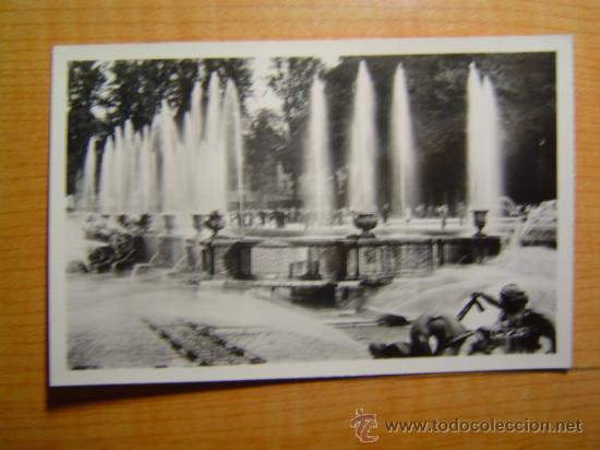 Postales: POSTAL VERSAILLES LA BASSIN DE NEPTUNE (GRANDES EAUX) SIN CIRCULAR