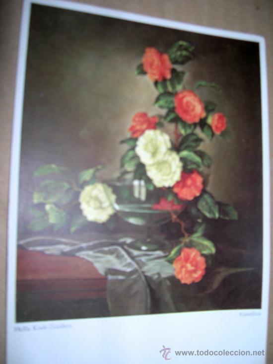 Postales: ANTIGUA TARJETA POSTAL DE ALEMANIA. HELLA KOCH-ZEUTHEN, KAMELIEN. A&Ntilde;OS 70.