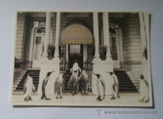 Postales: Postal de Amsterdam - Foto 1