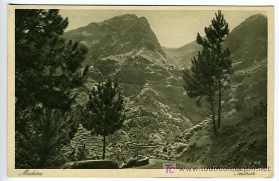 Postais: MADEIRA, PORTUGAL, INTERIOR,   P27837