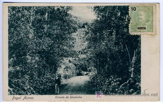 Cartoline: A&Ccedil;ORES, PORTUGAL, FAYAL, ESTRADA DA RIBEIRINHA,    P27931